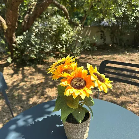 La Petite Vague Du Pyla Дом отдыха Ла-Тест-де-Бюш