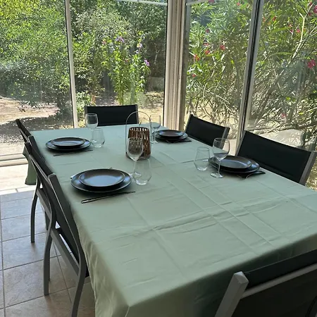 La Petite Vague Du Pyla *