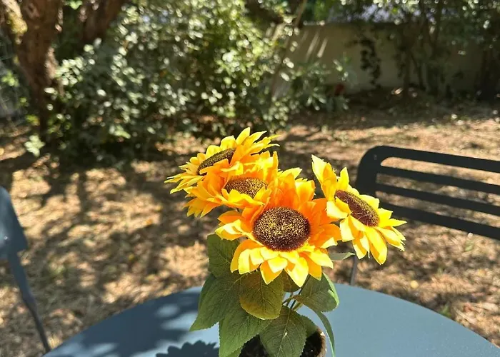 La Petite Vague Du Pyla Сasa de vacaciones La Teste-de-Buch